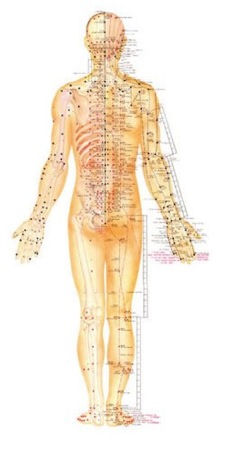 Pasted Graphic 1